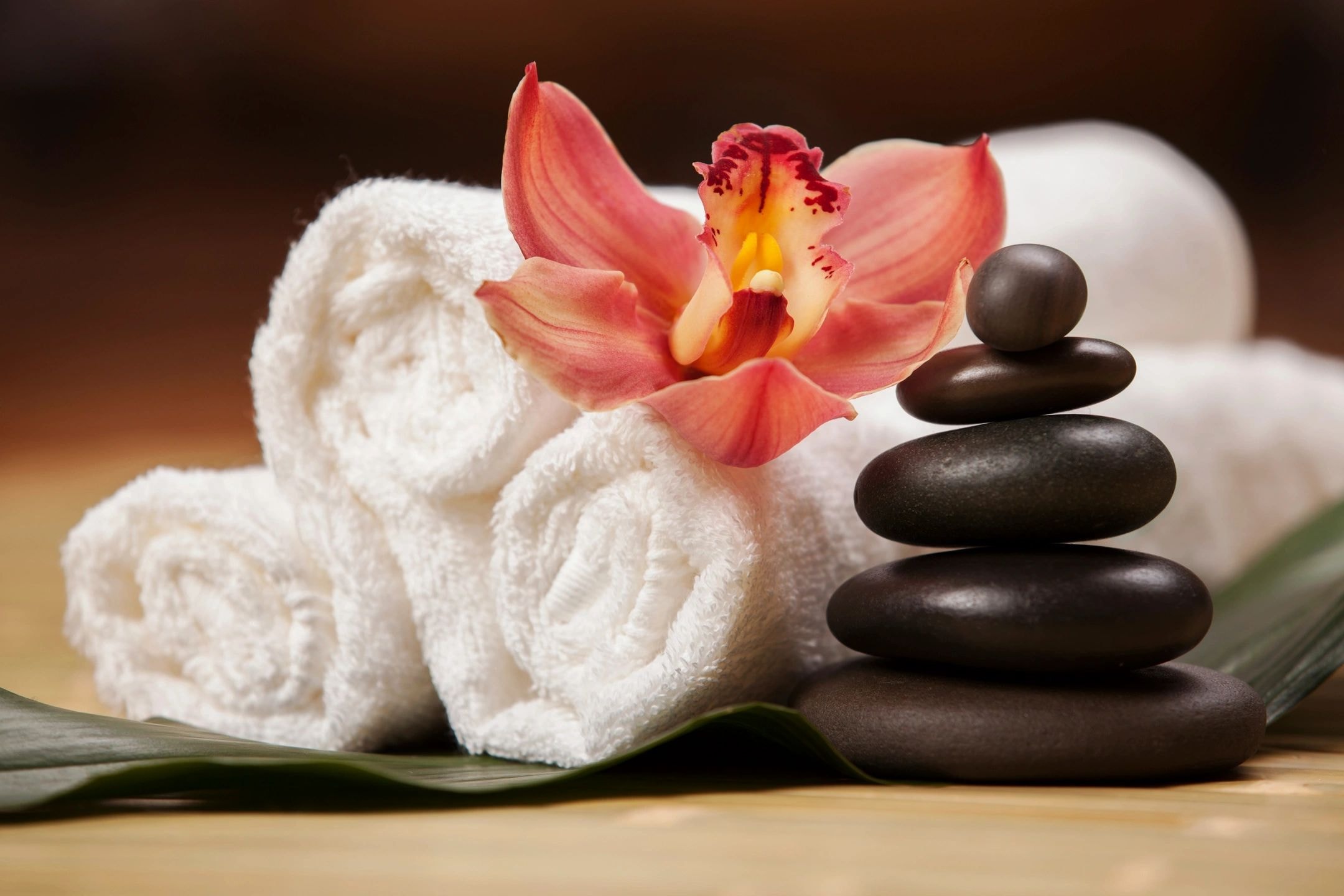Spa wellness and healthy well-being